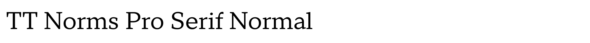 TT Norms Pro Serif Normal image